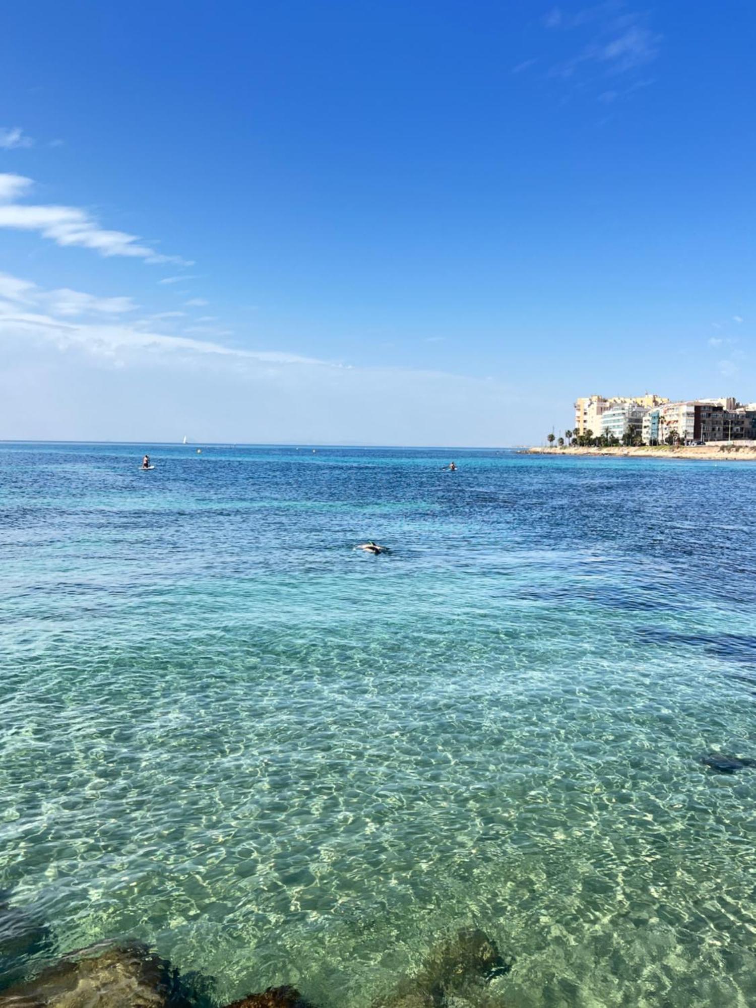 Renovated Cosy Studio 350 M Playa Del Cura, With Official Touristic License Torrevieja Exteriör bild
