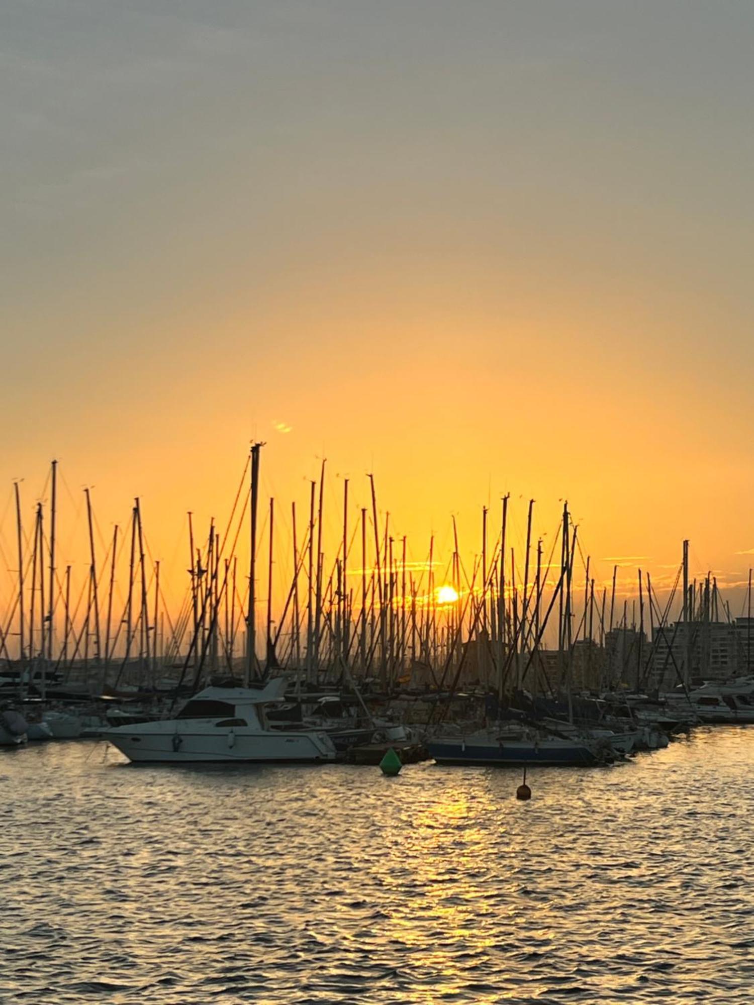 Renovated Cosy Studio 350 M Playa Del Cura, With Official Touristic License Torrevieja Exteriör bild